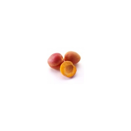 Purée d'abricot ( 4Kg)