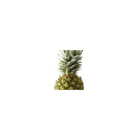 Dirafrost / Purée d'ananas ( 4Kg )