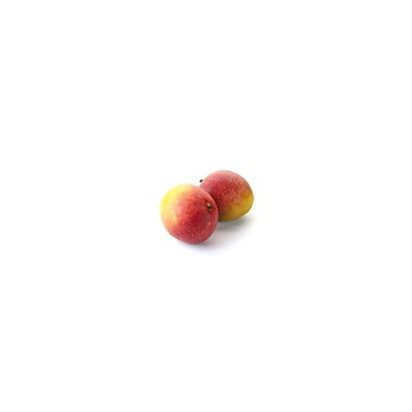 Dirafrost / Purée mangue ( 4Kg )