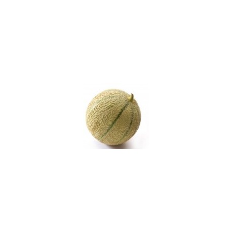 Dirafrost / Purée melon ( 4Kg )
