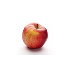 Dirafrost / Purée pomme ( 4Kg )