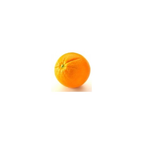 Dirafrost / Purée d'orange ( 4Kg )