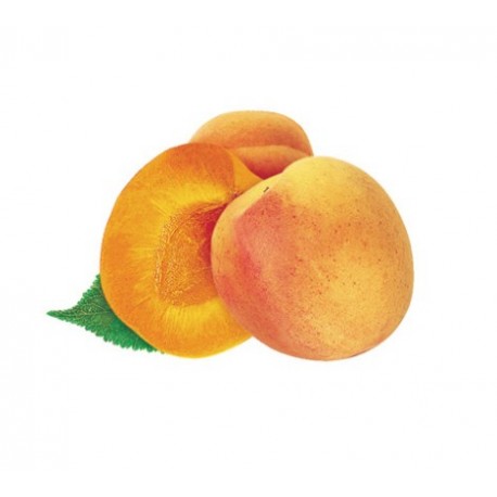 Purée abricot ( 6Kg )