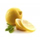 Purée citron jaune ( 6Kg )