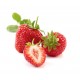 Purée fraise ( 6Kg )