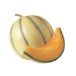 Purée melon ( 6Kg )