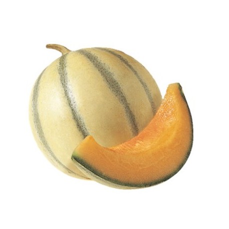 Purée melon ( 6Kg )