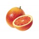 Purée orange sanguine ( 6Kg )