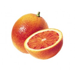 Purée orange sanguine ( 6Kg )